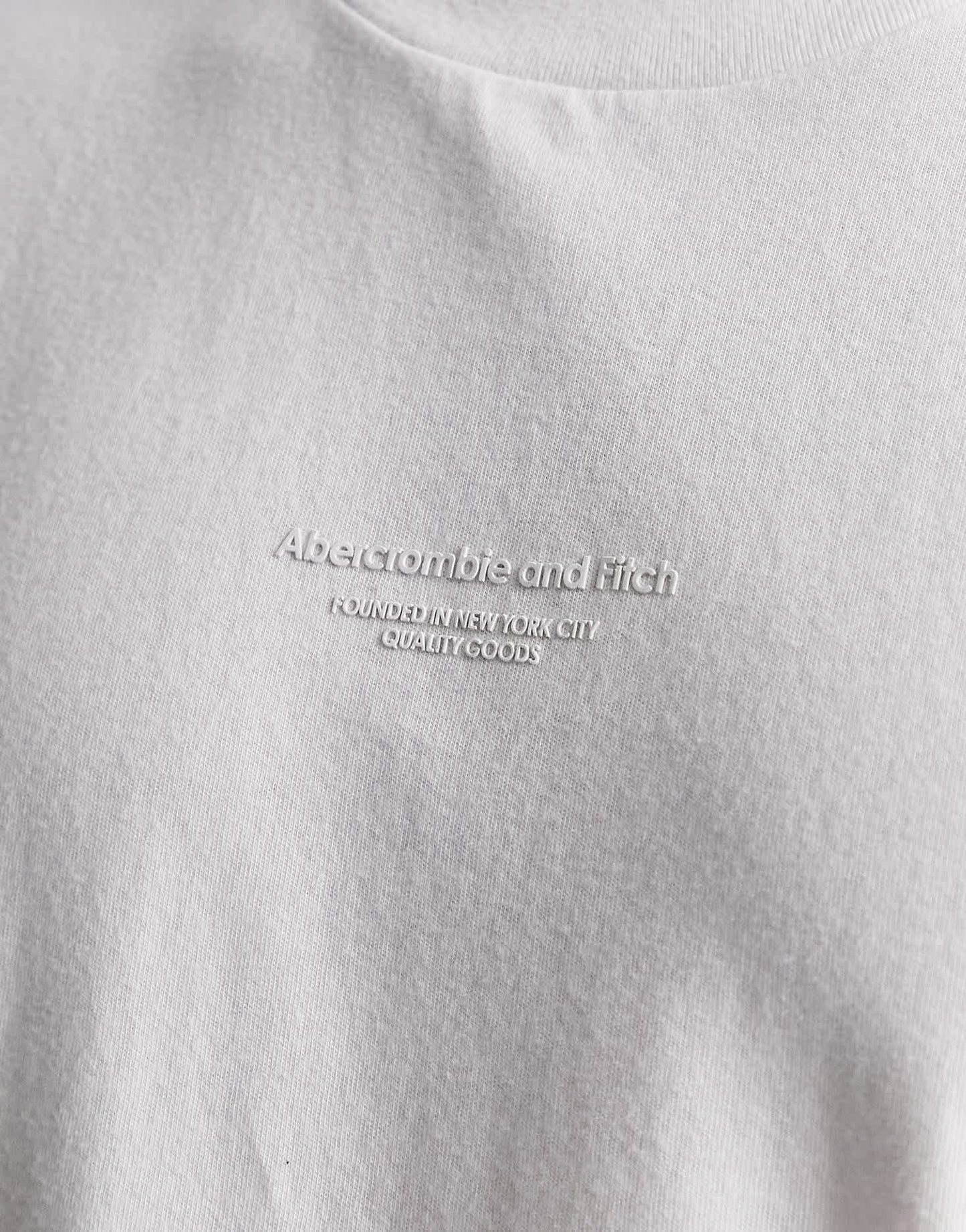 Abercrombie & Fitch plastisol central logo t-shirt in white - ASOS Sample Sale EU Store