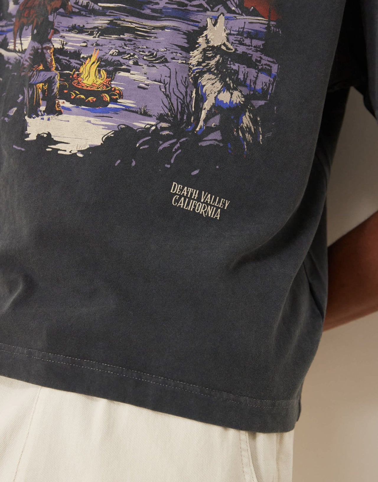 Abercrombie & Fitch short sleeve western print graphic t-shirt in washed black - ASOS Sample Sale EU Store