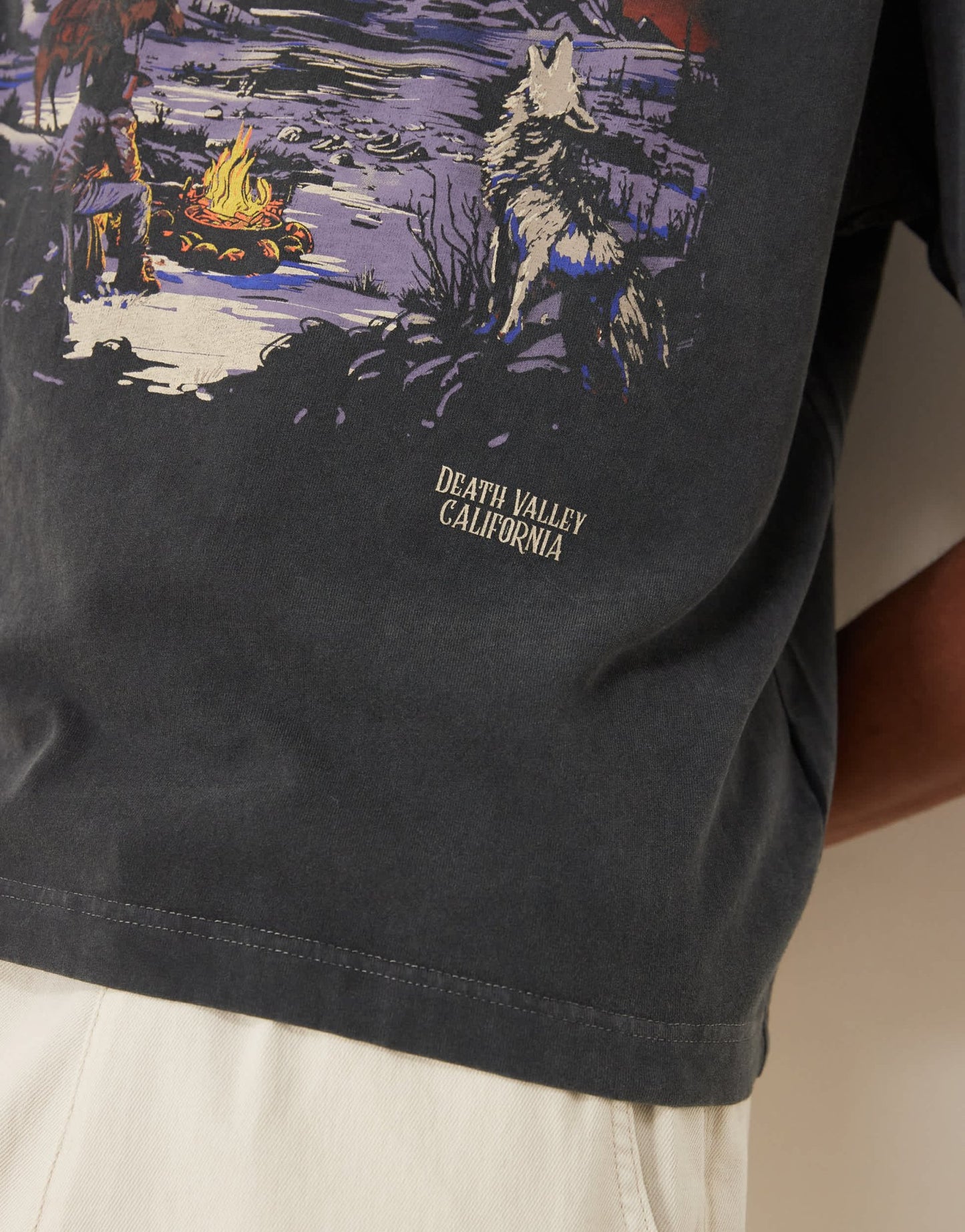 Abercrombie & Fitch short sleeve western print graphic t-shirt in washed black - ASOS Sample Sale EU Store