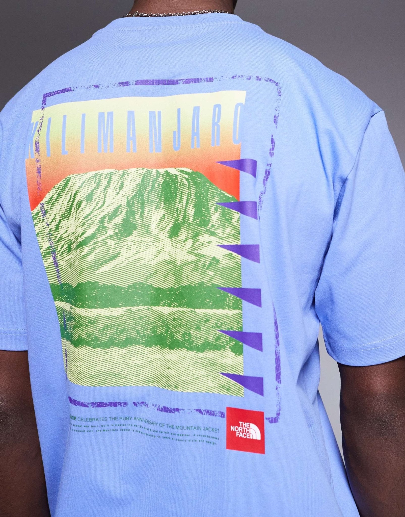 The North Face Kilimanjaro unisex oversized backprint t-shirt in blue - ASOS Sample Sale EU Store